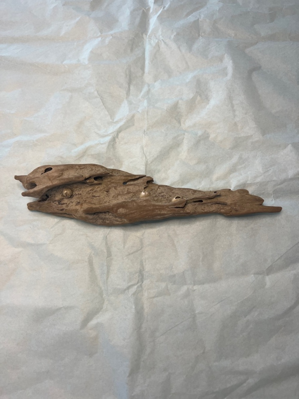 Natural Brown Driftwood Decoration from Potomac River
